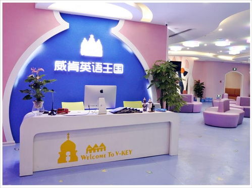 湖南威肯教育咨询服务 专业引领未来，教育开启新篇章