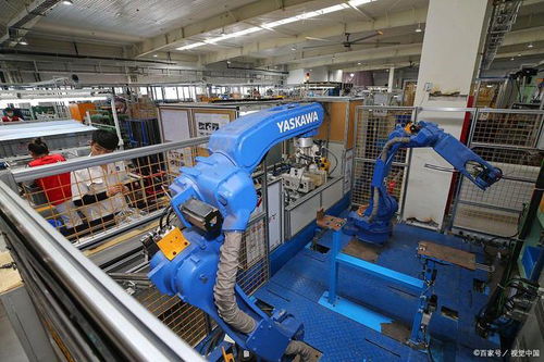 精益质量管理咨询 知名教育咨询服务公司推荐