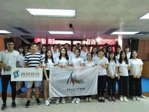 教育咨询服务——专业助力教育发展