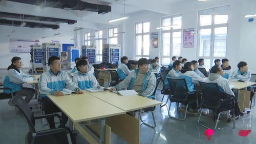 新泰市 深化职业教育创新，赋能区域经济高质量发展