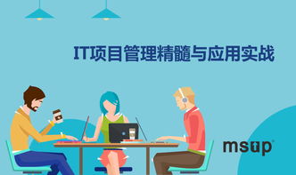 msup 软件研发管理培训与咨询服务 赋能团队，驱动卓越