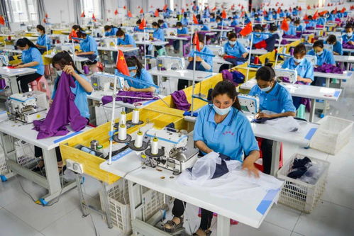 早间教育资讯 2020年9月18日教育咨询服务动态观察